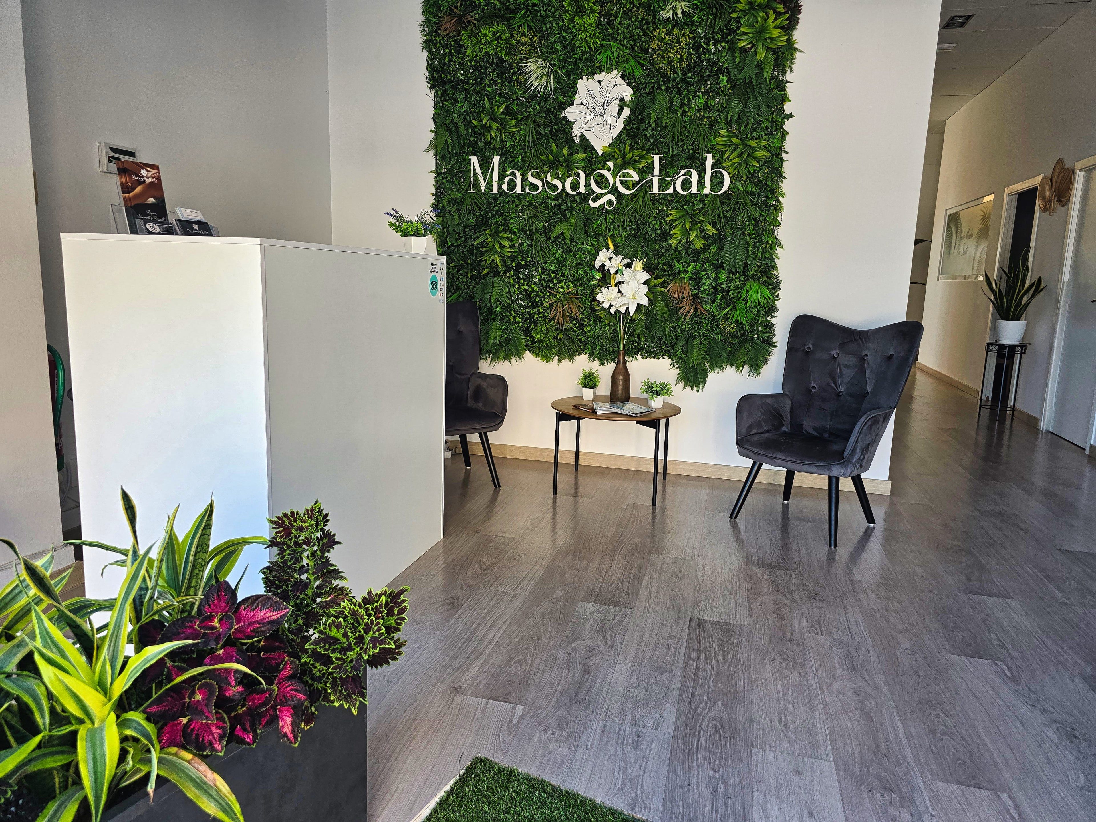 Massage Lab - Denia Entree